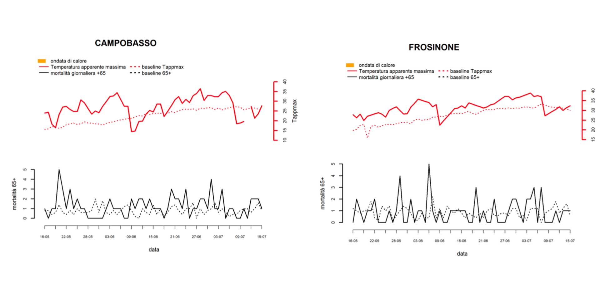 mortalità a Frosinone e a Campobasso