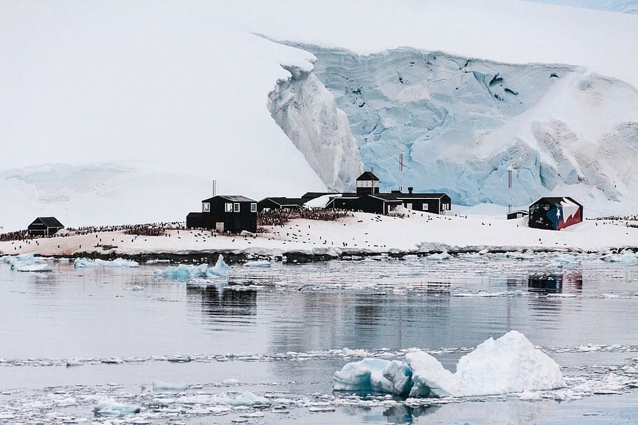 antarctica-continent-pol-hurtigruten